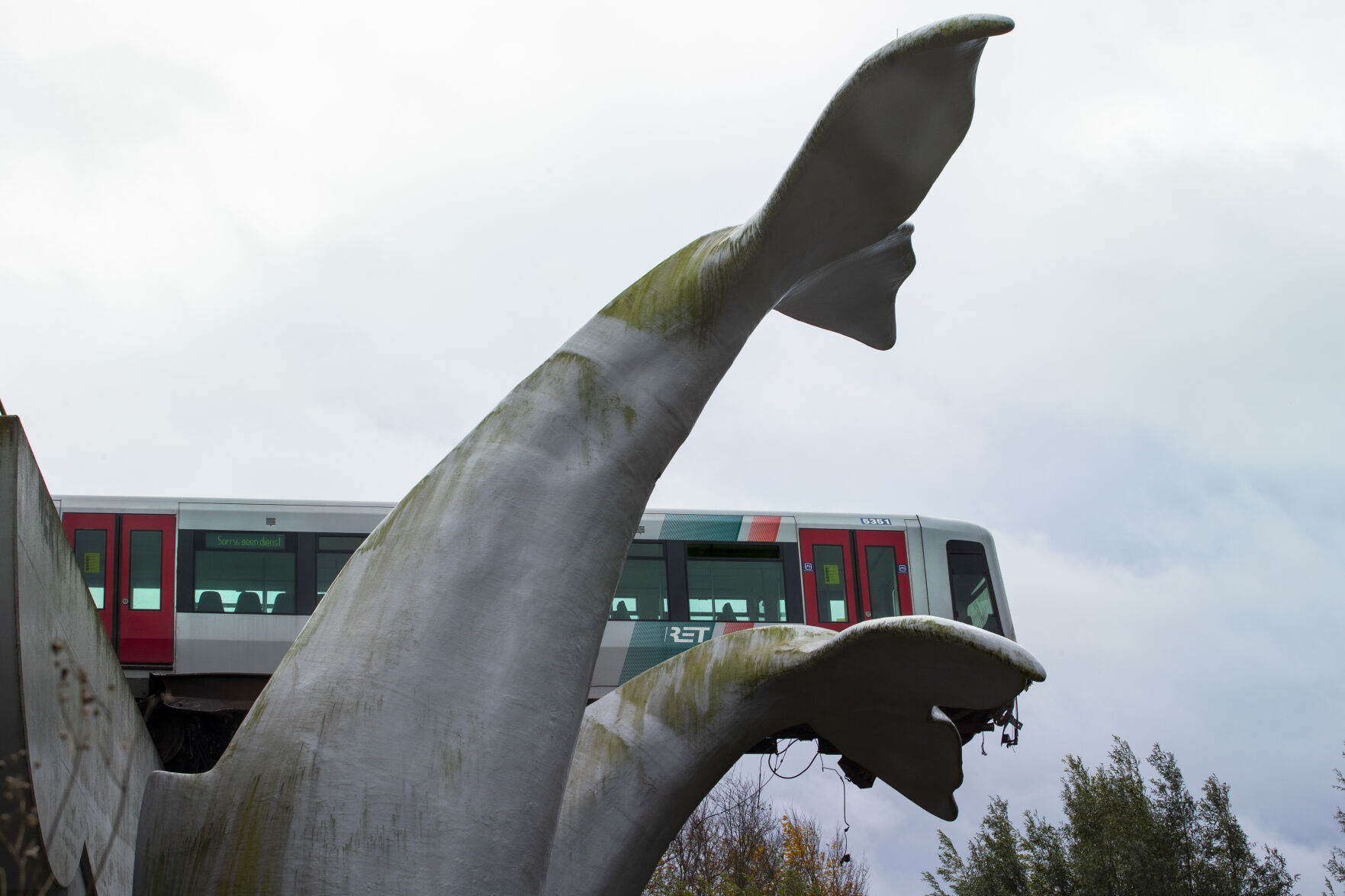 Netherlands Metro Whale